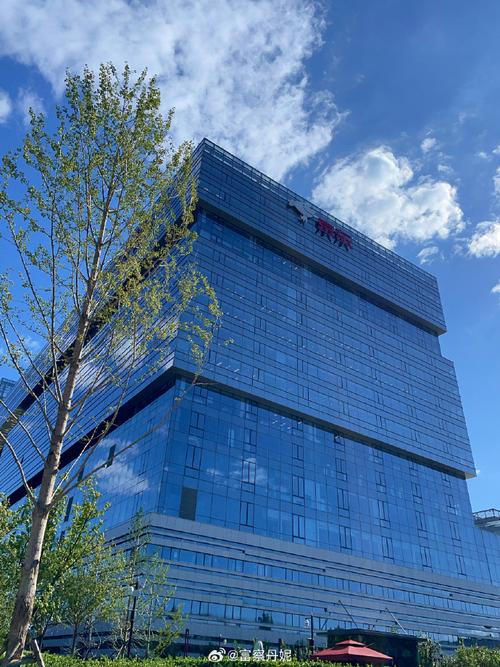 寻美、拼假、见未来 在流动的时代，我们如何安放向往